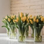 Several clear glass vases, each holding a bouquet of yellow tulips with green stems, are arranged on a light-colored surface with a bright window to t